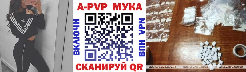 Купить закладки  Пикалёво  A-PVP VHQ 