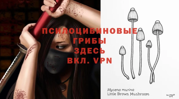 молекула духа Верхнеуральск